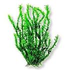 819603014723 Aquatop Plastic Freshwater Aquarium Plant Light Green Small