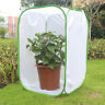 82506 Unbranded Foldable Insect Cage Butterfly Habitat Mesh Transparent Surface Portable