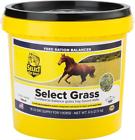 83646 Richdel Select Grass 784299083646