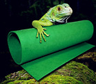 8419391027688 Sporer Reptiles Carpet Terrarium