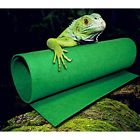 8419391027695 Sporer Green Carpet Liner