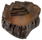 852057006234 Jungle Bob Water Bowl Large Wood Enterprises