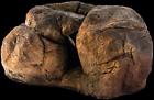 852057006340 Jungle Bob Terrarium Boulder
