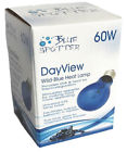 852884005318 Blue Spotted Dayview Wild-blue