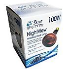 852884005387 Blue Spotted Nightview Wild-red