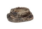 857713006832 Jungle Bob Terrarium Dish Set Stone Style Enterprises