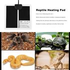 878881328571 Lovecc1020 5w 220-240v Reptile