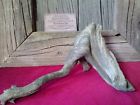 9-1-2 Rowdyboy2us Cedar Driftwood Branch
