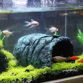 9.99world Mall 752859046837 Premium Aquarium Hide Cave Resin Hideout For Fish Amphibians And Reptiles