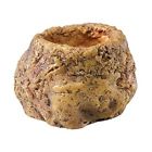 Loizicy2015 90395 Terra Snake Bowl 601751490395
