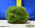 9325136131062 Unbranded Floating Mossy Rock
