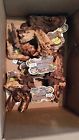 976156 Zoo Med Lot Of 10