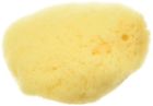 976433 Zoo Med All Natural Hermit Crab Sea Sponge 883255482223