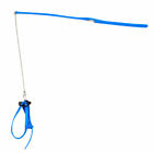 9h143129g3deb3737 Unbranded Adjustable Parrot Avian Safest Harness Leash Training 4891043814664
