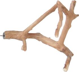 A&e Cage Co. 644472011166 Java Wood Multi Branch Perch - Small 16 Inch X 1.2