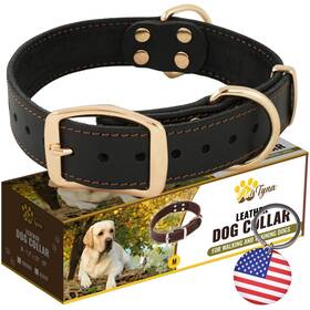 Adityna 726597202633 Heavy Duty Leather Dog Collar For Medium Dogs - Soft And Strong C