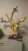 Ae510m Slate Snakes Tree Hang Reptile Lizards Bottom Java