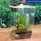 Afa885153 Unbranded Acrylic Plant Pet Reptile Feeding Tank Insect 6162115885751 Afa885153 Unbranded Acrylic Plant Pet Reptile Feeding Tank Insect 6162115885751