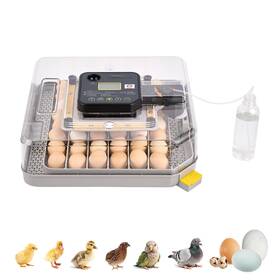 R-48h Aflyever 48 Egg Incubator With Auto Turn And Humidity Control 360 View Poultry Hatch