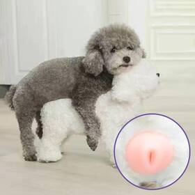 Ahpdldsf 794561182564 Male Dog Silicone Mating Toy Interactive Sleeping Pet Partner For Estru