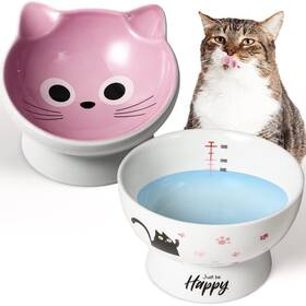 Aisbugur 760646570434 Ceramic Cat Bowls Set Of 2 Elevated 15 Tilted Design For Indoor Cats Large Ca