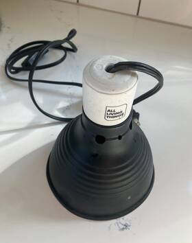 E329645 All Living Things Deep Dome Heat Lamp/light Fixture-used