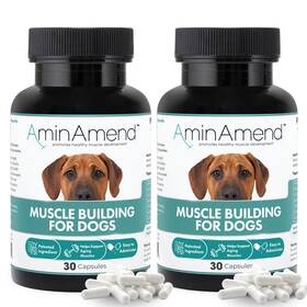 Aminamend 611355571598 Muscle Support Dog Supplements For Large Breed 21lbs With Cahmb And Vitamin