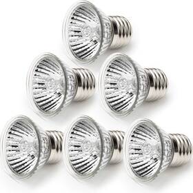 Anglekai 445050433454 75w Sun Basking Lamp Bulb 6 Pack Full Spectrum Uva Uvb Reptile Heat La