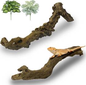 Ka054 Apatal Reptile Branch Decor 2 Pcs Snake Climbing Wood Branches Lizard Habitat Decoratio