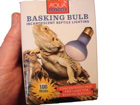 415810 Aqua New Culture Reptile Basking Bulb Incandescent Lighting 100 Watt Nice