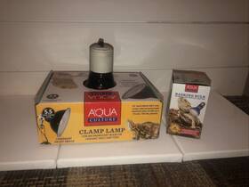 Aqua Culture 091197400209 5.5 In Clamp Lamp And Basking Bulb Incandescent Reptile Lighting 60 W