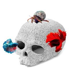 Az804 Aquazoo Premium Fish Tank Decorations Reptile Accessories Aquarium Decor Rept