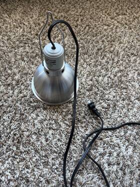 Arcadia 844046001559 5.5 Inch E27 Ceramic Reflector Clamp Lamp Basking Reptile Terrarium