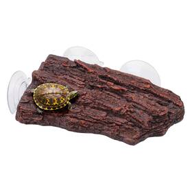 Ats563201 Atskim Basking Platform For Aquatic Turtles With 3 Suction Artificial Bark