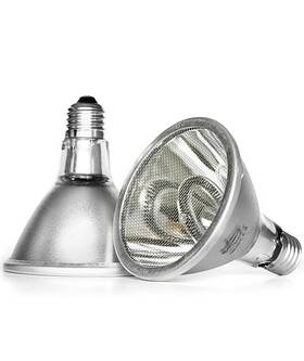 Dht01 Auaaq 120w Deep Heat Infrared Projector Lamp For Reptiles Emits Both A And