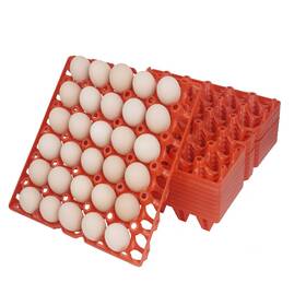 Aug-xixi-057 Augxixi 10pcs Plastic Egg Tray 30-cell Flats Stackable Crates Red Rectang