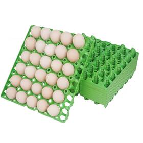 Aug-xixi-060 Augxixi 10pcs Plastic Egg Tray 30-cell Flats Crates Stackable Cartons Fl