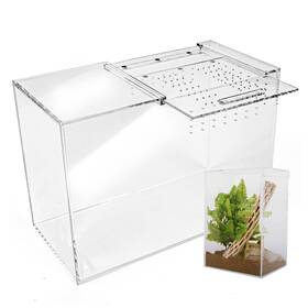 Ate101 Authentic Joy Tarantula Enclosure Xl 10 Inch X7 X14 Reptile Terrarium With Slidin
