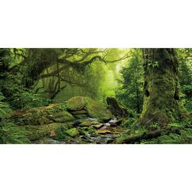0.6x0.3nbk35426nam Awert Tropical Forest Terrarium Background Stream Green Huge Tree Reptile Hab