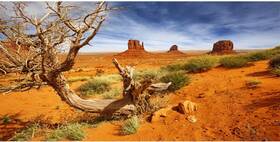 0.75x0.3nbk08807nam Awert 30x12 Inches Reptile Habitat Background Orange Desert Terrarium