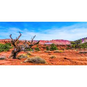 0.75x0.3nbk24133nam Awert 30x12 Inches Reptile Habitat Background Blue Sky Oasis Orange Desert Te