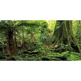 0.75x0.3nbk35415nam Awert 30x12 Inches Forest Terrarium Background Stone Green Huge Tree Reptile