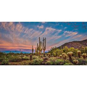0.75x0.3nbk42932nam Awert 30x12 Inches Terrarium Background Blue Sky Cloud Huge Cactus Oasis Gobi