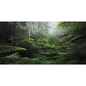 0.9x0.45nbk35428nam Awert Foggy Forest Terrarium Background Green Tree Reptile Habitat