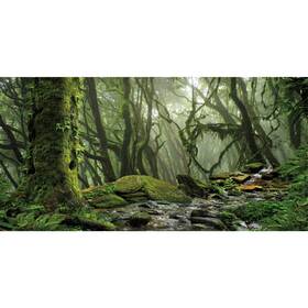 12x0.45nbk35427nam Awert Tropical Forest Terrarium Background Stream Green Huge Tree Reptile Hab