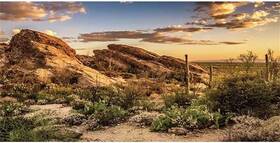 12x0.6nbk25729nam Awert Reptile Habitat Background Blue Sky Oasis Cactus Sun And Desert Terrarium