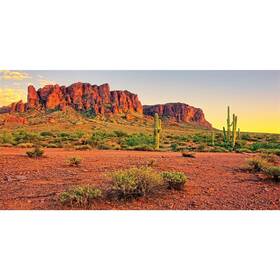 12x0.6nbk33961nam Awert 48x24 Inches Reptile Habitat Background Sky Oasis Mountain Cactus Sun A
