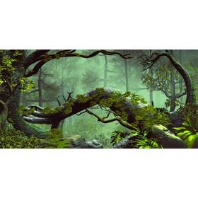 18x0.45nbk18577nam Awert 72x18 Inches Foggy Forest Terrarium Background Stone Green Tree Tropica