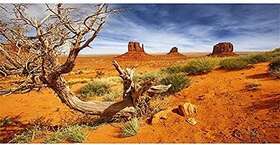 Awert 439412716065 36x18 Inches Reptile Habitat Background Orange Desert Terrarium Durab
