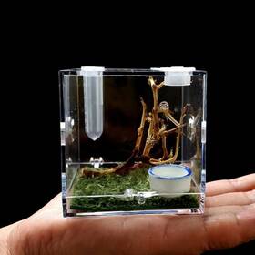 Awxzom 739240484331 Spider Terrarium Acrylic Reptile Breeding Box Jumping Enclosure With Awxzom 739240484331 Spider Terrarium Acrylic Reptile Breeding Box Jumping Enclosure With